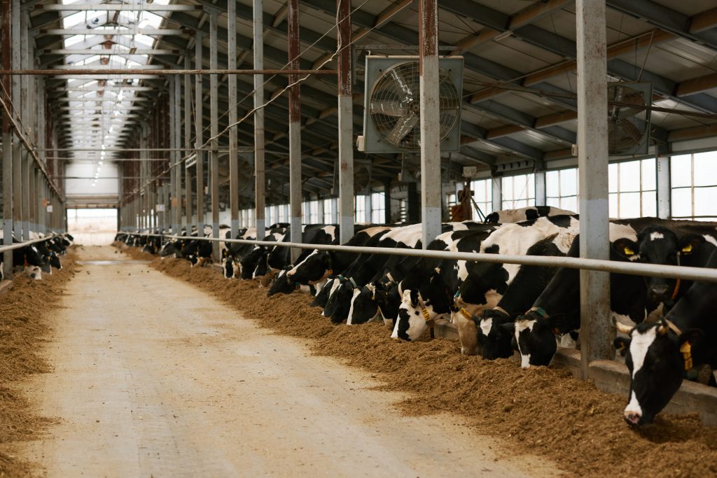 The backlog is gone: update on approval of feed additives in the usa